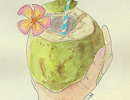 Cinque ottimi motivi per bere l’acqua di cocco